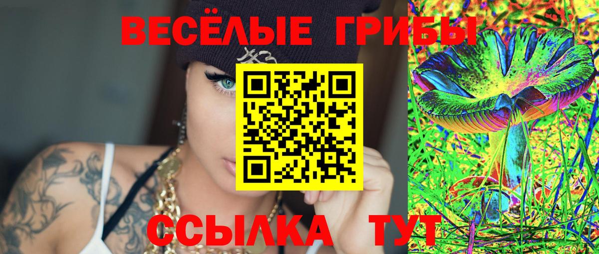 Псилоцибиновые грибы Psilocybine cubensis  Галлюциногенные грибы Psilocybine cubensis  Кудрово  Вход с VPN 